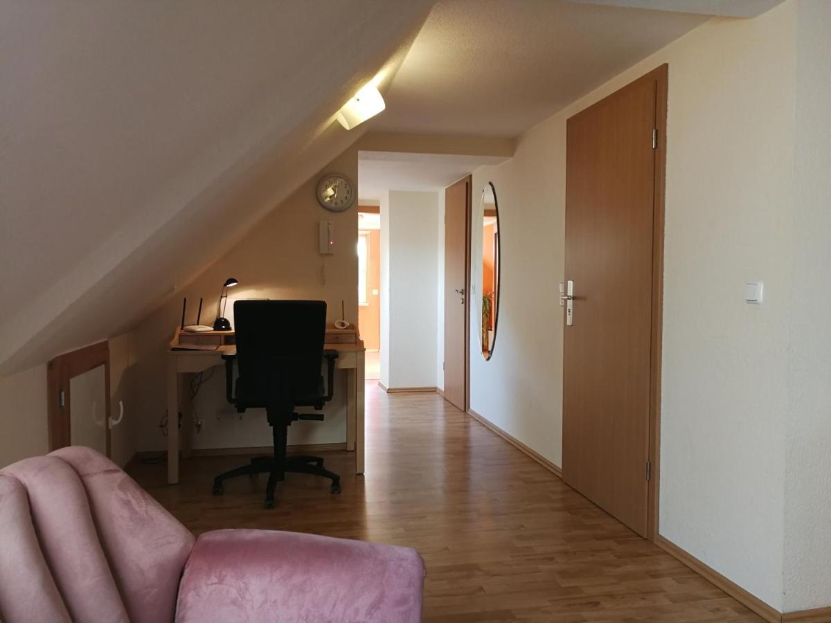 Ferienwohnung Brandmuehle Bad Schlema Ngoại thất bức ảnh